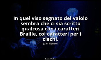 In quel viso segnato del vaiolo sembra che ci sia scritto qualcosa con i caratte — Jules Renard