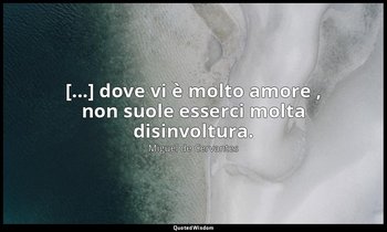 [...] dove vi è molto amore , non suole esserci molta disinvoltura. — Miguel de Cervantes