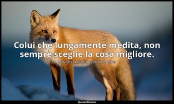 Colui che lungamente medita, non sempre sceglie la cosa migliore. (4, 105) — Johann Wolfgang von Goethe