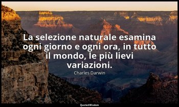 La selezione naturale esamina ogni giorno e ogni ora, in tutto il mondo, le più  — Charles Darwin