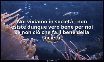 Noi viviamo in società ; non esiste dunque vero bene per noi se non ciò che fa i — Voltaire