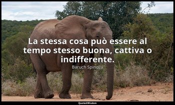 La stessa cosa può essere al tempo stesso buona, cattiva o indifferente. — Baruch Spinoza