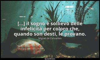 [...] il sogno è sollievo delle infelicità per coloro che, quando son desti, le  — Miguel de Cervantes