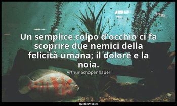 Un semplice colpo d'occhio ci fa scoprire due nemici della felicità umana; il do — Arthur Schopenhauer