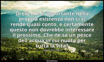 Di ciò che è importante nella propria esistenza non ci si rende quasi conto, e c — Albert Einstein