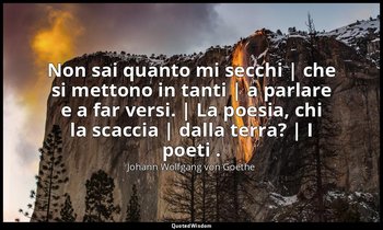 Non sai quanto mi secchi | che si mettono in tanti | a parlare e a far versi. |  — Johann Wolfgang von Goethe