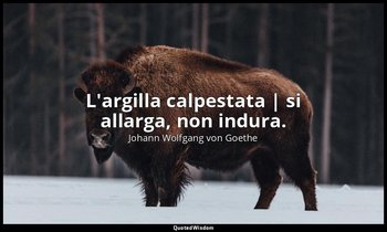 L'argilla calpestata | si allarga, non indura. — Johann Wolfgang von Goethe