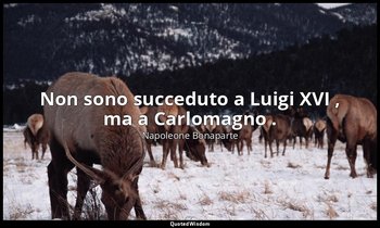 Non sono succeduto a Luigi XVI , ma a Carlomagno . — Napoleone Bonaparte