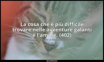 La cosa che è più difficile trovare nelle avventure galanti è l'amore. (402) — François de La Rochefoucauld