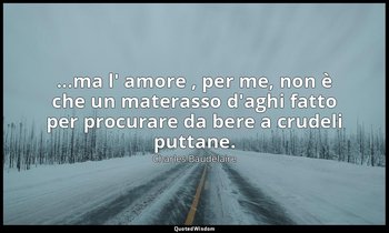 ...ma l' amore , per me, non è che un materasso d'aghi fatto per procurare da be — Charles Baudelaire