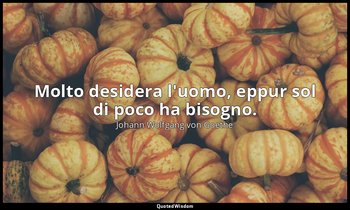 Molto desidera l'uomo, eppur sol di poco ha bisogno. — Johann Wolfgang von Goethe