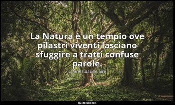 La Natura è un tempio ove pilastri viventi lasciano sfuggire a tratti confuse pa — Charles Baudelaire