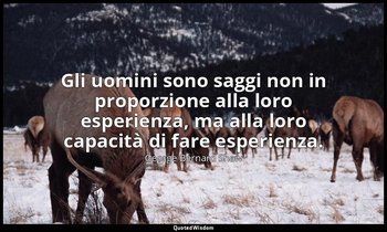 Gli uomini sono saggi non in proporzione alla loro esperienza, ma alla loro capa — George Bernard Shaw