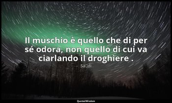 Il muschio è quello che di per sé odora, non quello di cui va ciarlando il drogh — Saˁdi