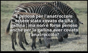 È penoso per l'anatroccolo essere stato covato da una gallina ; ma non è forse p — Samuel Butler