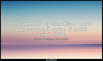 Un cammello spelacchiato porta pur sempre il carico di molti asini . (904) — Johann Wolfgang von Goethe