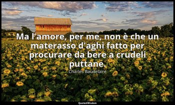 Ma l'amore, per me, non è che un materasso d'aghi fatto per procurare da bere a  — Charles Baudelaire