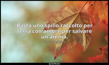 Basta uno spillo raccolto per terra con amore per salvare un'anima. — Teresa di Lisieux