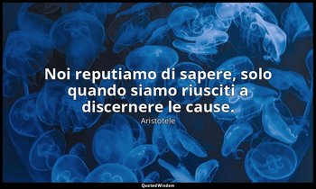 Noi reputiamo di sapere, solo quando siamo riusciti a discernere le cause. — Aristotele