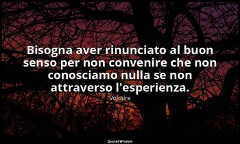 Bisogna aver rinunciato al buon senso per non convenire che non conosciamo nulla — Voltaire