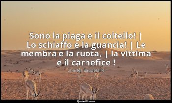 Sono la piaga e il coltello! | Lo schiaffo e la guancia! | Le membra e la ruota, — Charles Baudelaire