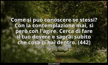 Come si può conoscere se stessi? Con la contemplazione mai, sì però con l'agire. — Johann Wolfgang von Goethe