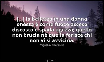 [...] la bellezza in una donna onesta è come fuoco acceso discosto o spada aguzz — Miguel de Cervantes