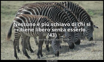 Nessuno è più schiavo di chi si ritiene libero senza esserlo. (43) — Johann Wolfgang von Goethe