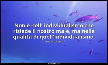 Non è nell' individualismo che risiede il nostro male, ma nella qualità di quell — Fernando Pessoa