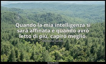 Quando la mia intelligenza si sarà affinata e quando avrò letto di più, capirò m — Mahatma Gandhi