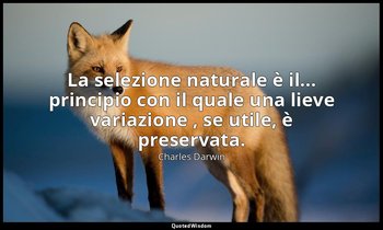 La selezione naturale è il... principio con il quale una lieve variazione , se u — Charles Darwin