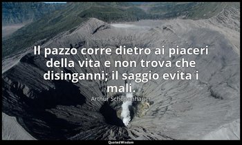 Il pazzo corre dietro ai piaceri della vita e non trova che disinganni; il saggi — Arthur Schopenhauer