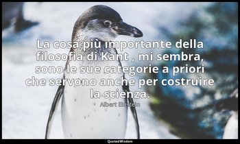 La cosa più importante della filosofia di Kant , mi sembra, sono le sue categori — Albert Einstein