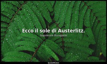 Ecco il sole di Austerlitz. — Napoleone Bonaparte