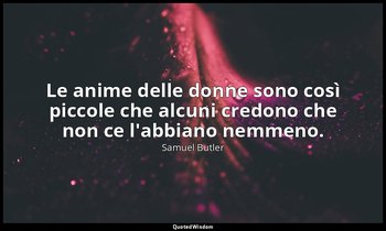 Le anime delle donne sono così piccole che alcuni credono che non ce l'abbiano n — Samuel Butler