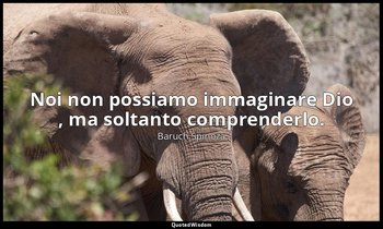 Noi non possiamo immaginare Dio , ma soltanto comprenderlo. — Baruch Spinoza