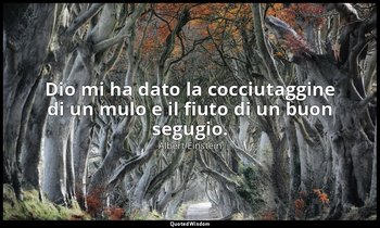 Dio mi ha dato la cocciutaggine di un mulo e il fiuto di un buon segugio. — Albert Einstein