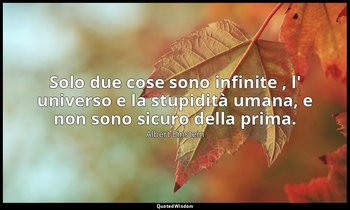 Solo due cose sono infinite , l' universo e la stupidità umana, e non sono sicur — Albert Einstein