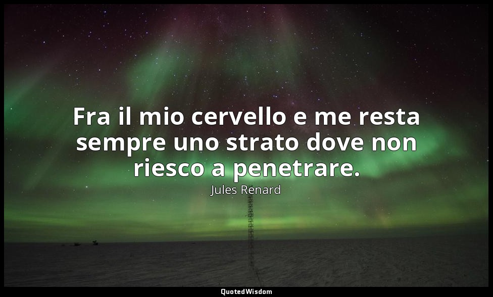 Fra il mio cervello e me resta sempre uno strato dove non riesco a penetrare. (2 — Jules Renard