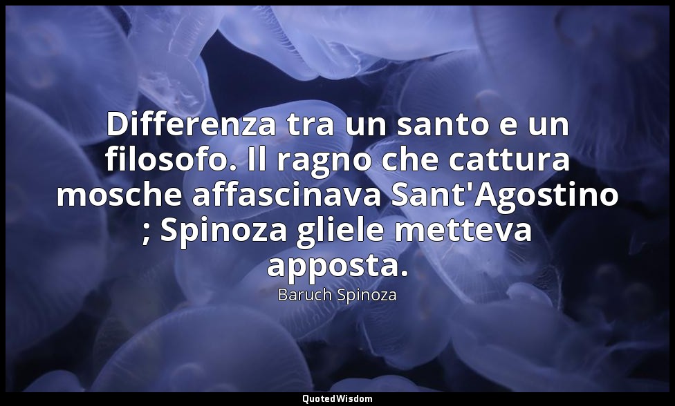 Differenza tra un santo e un filosofo. Il ragno che cattura mosche affascinava S — Baruch Spinoza