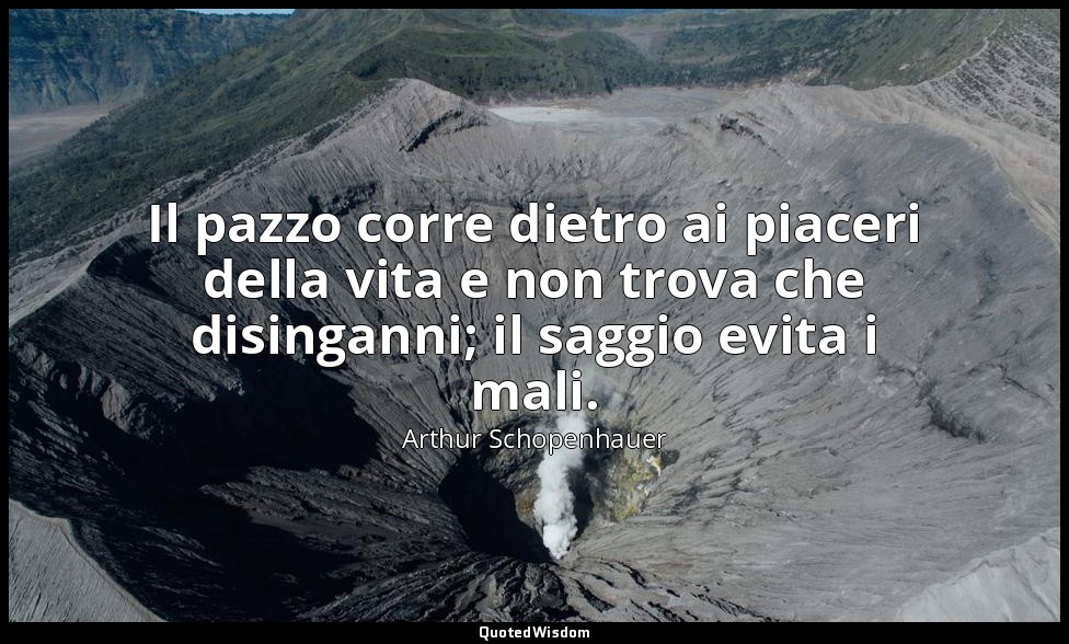 Il pazzo corre dietro ai piaceri della vita e non trova che disinganni; il saggi — Arthur Schopenhauer