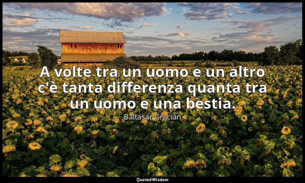 A volte tra un uomo e un altro c'è tanta differenza quanta tra un uomo e una bes — Baltasar Gracián