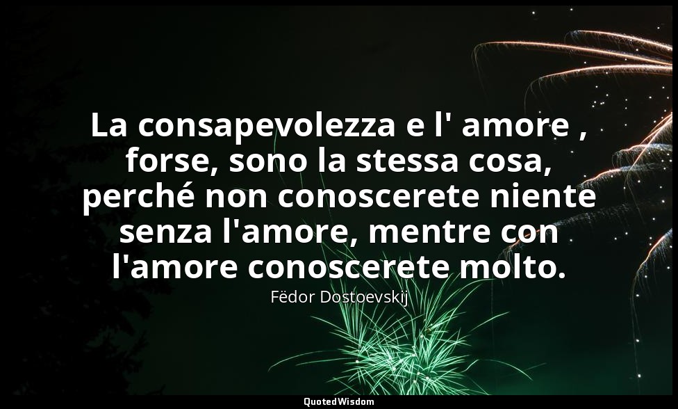 La consapevolezza e l' amore , forse, sono la stessa cosa, perché non conosceret — Fëdor Dostoevskij