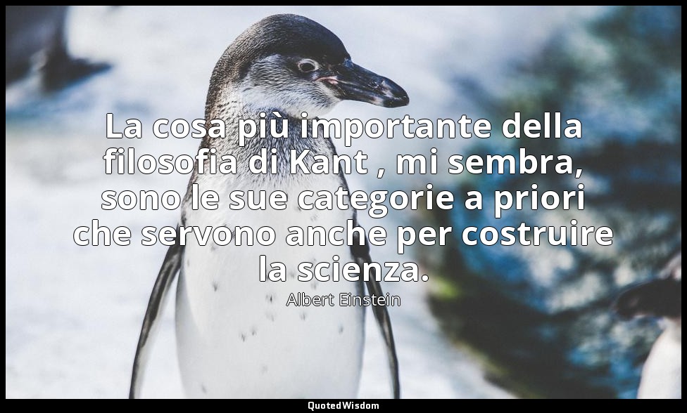 La cosa più importante della filosofia di Kant , mi sembra, sono le sue categori — Albert Einstein