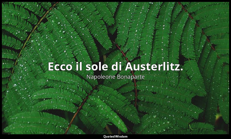 Ecco il sole di Austerlitz. — Napoleone Bonaparte