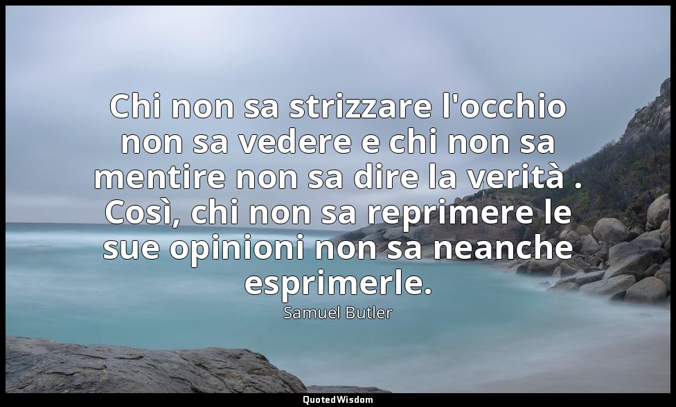 Chi non sa strizzare l'occhio non sa vedere e chi non sa mentire non sa dire la  — Samuel Butler