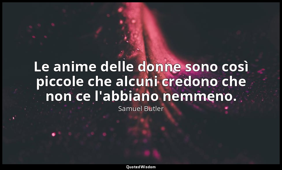 Le anime delle donne sono così piccole che alcuni credono che non ce l'abbiano n — Samuel Butler