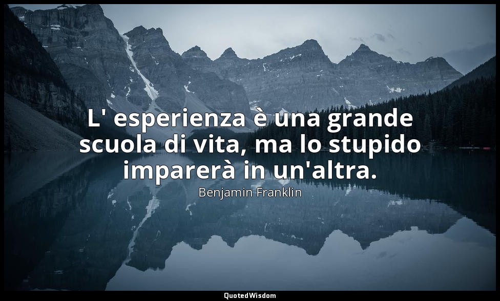 L' esperienza è una grande scuola di vita, ma lo stupido imparerà in un'altra. — Benjamin Franklin