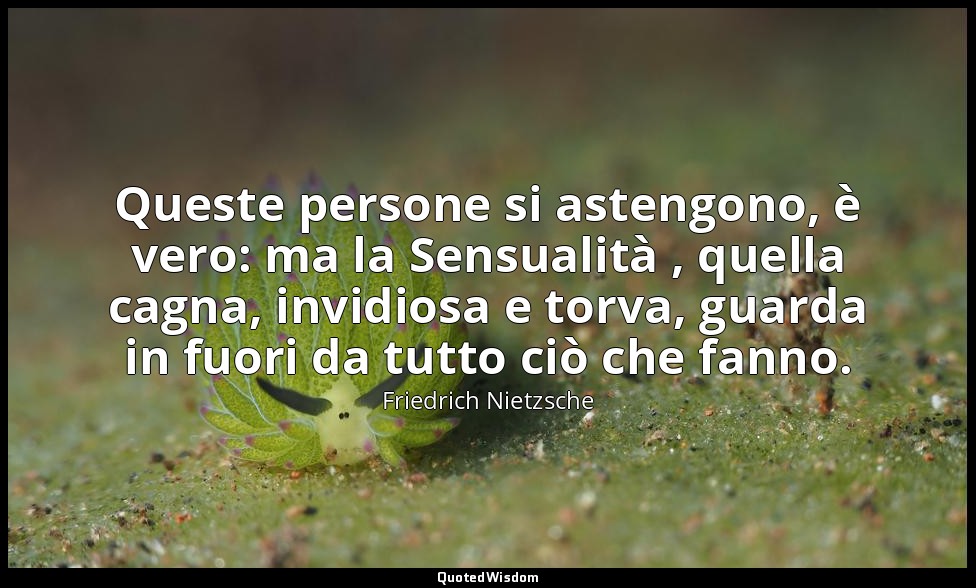 Queste persone si astengono, è vero: ma la Sensualità , quella cagna, invidiosa  — Friedrich Nietzsche