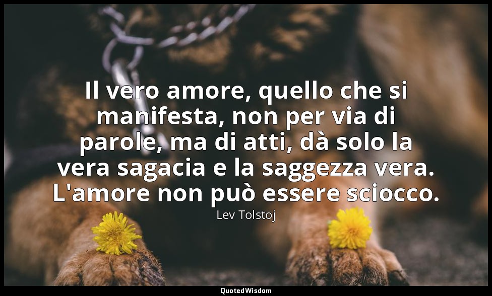 Il vero amore, quello che si manifesta, non per via di parole, ma di atti, dà so — Lev Tolstoj
